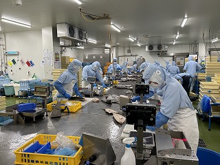 職人の手仕事と先進技術を組み合わせた生産ライン
