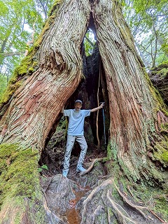 屋久島の原生林の中でいのちの充電